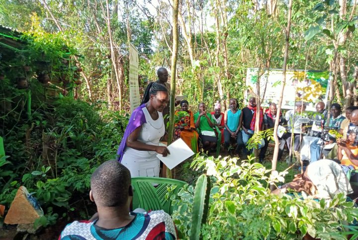 Areg Bio in the wooding teaching organic farming
